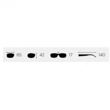 Smith Transfer XL Matte poliaroid sunglasses ChromaPop™ 4