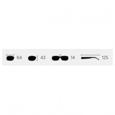 Smith Freespool Mag poliaroid ChromaPop™poliaroid sunglasses 2
