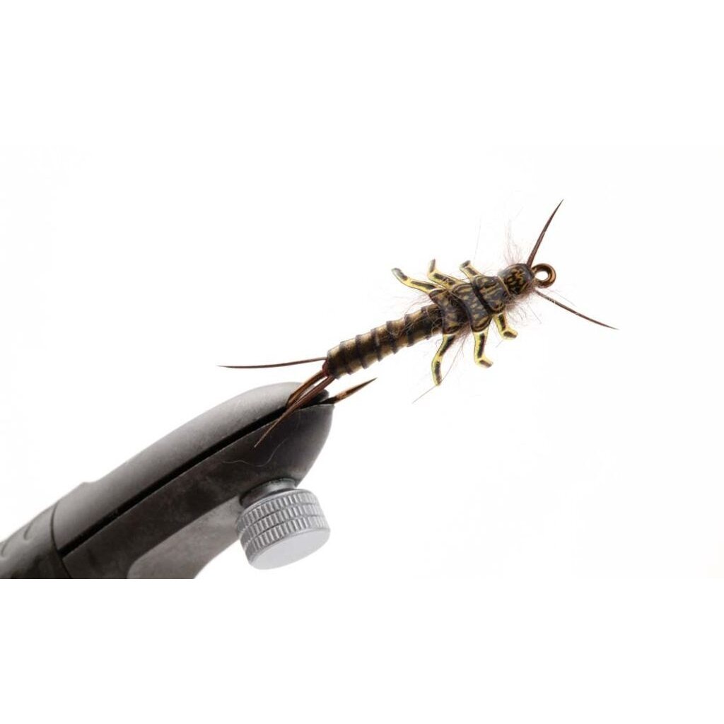 Имитация Приманки Набор Pro Stonefly Kits Sportfisher 1 Имитация Приманки Набор Pro Stonefly Kits Sportfisher 1