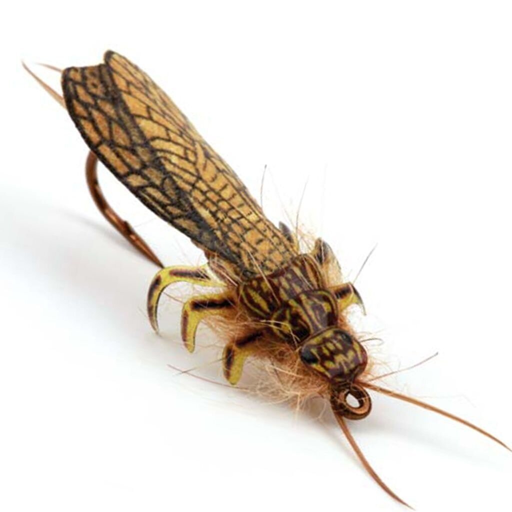 Masalo Sparnų Imitacija Pro Adult Stonefly Wings Pro Sportfisher 3 Masalo Sparnų Imitacija Pro Adult Stonefly Wings Pro Sportfisher 3