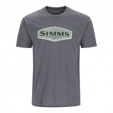 Футболка Simms logo T-shirt 2023 1