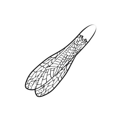 Masalo Sparnų Imitacija Pro Adult Stonefly Wings Pro Sportfisher Masalo Sparnų Imitacija Pro Adult Stonefly Wings Pro Sportfisher