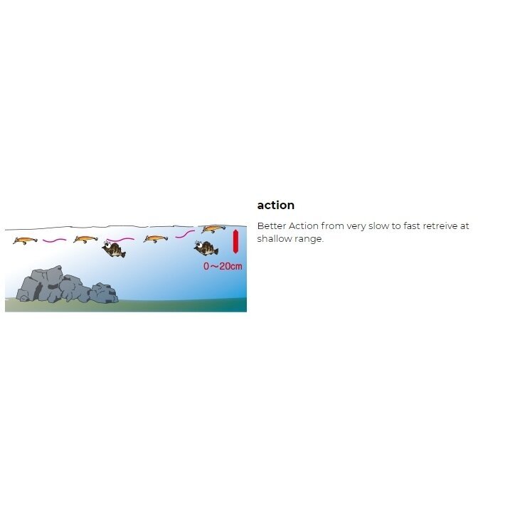 Plug wobbler  Duel Yo-zuri Hardcore® LG Minnow F1198 4
